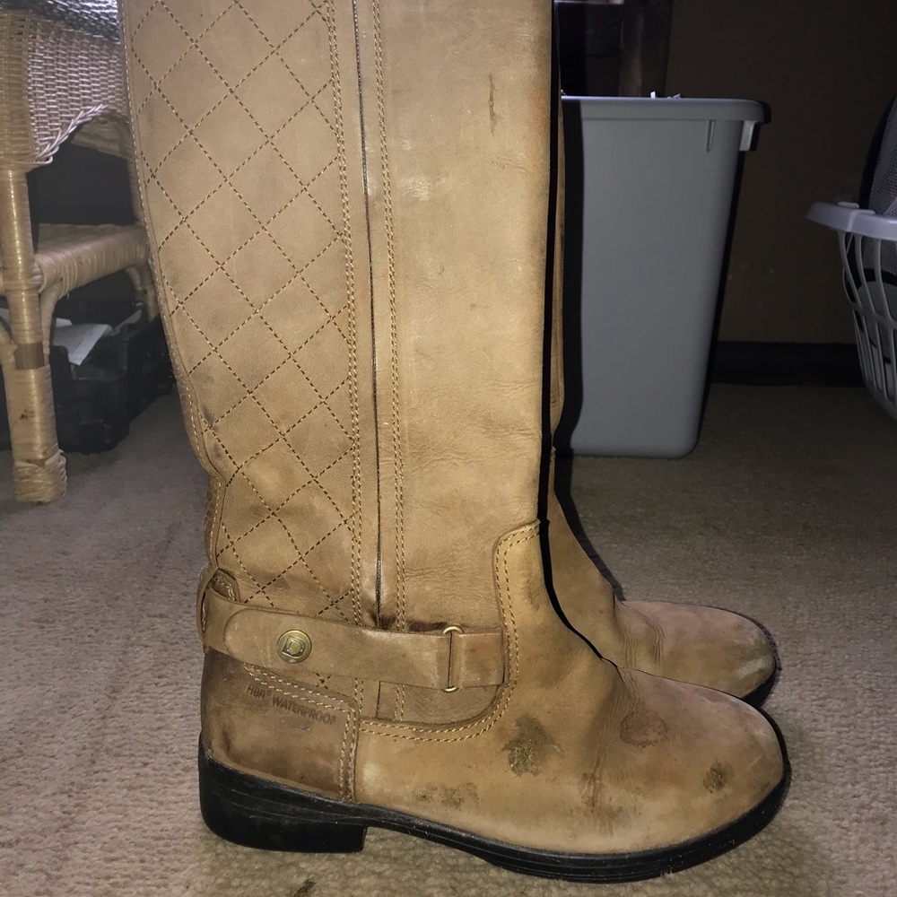 Dublin waterproof equestrian tall boots